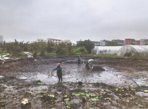 邯山河道鱼塘清淤